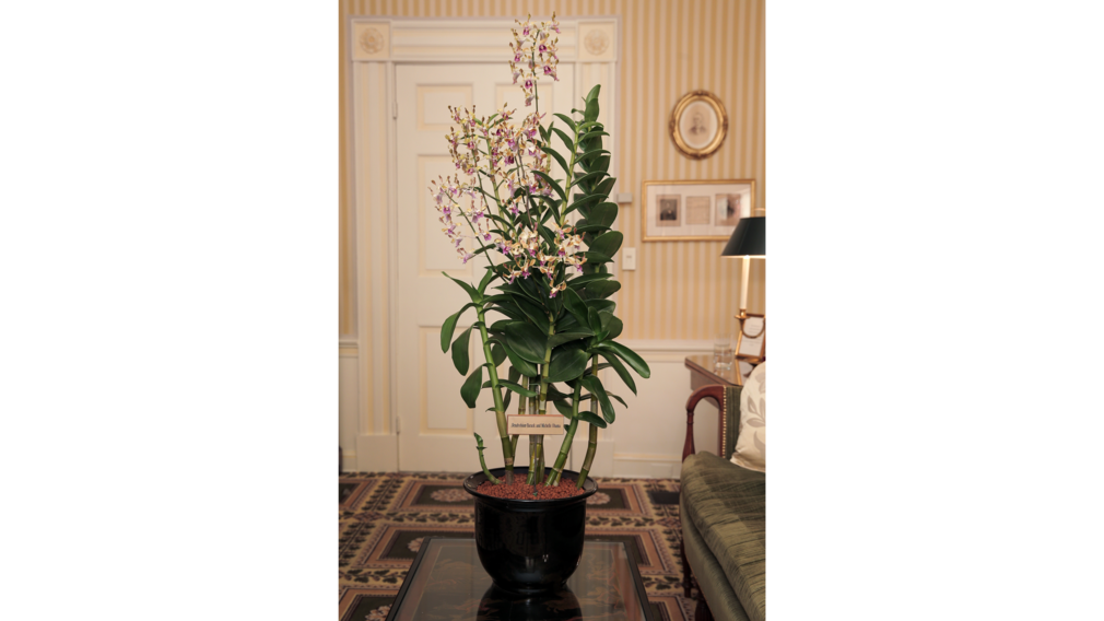 Image: Channelnewsasia